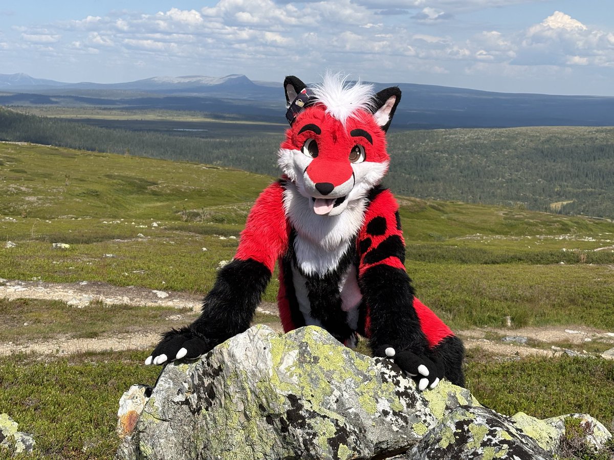 Andrew Fox 🔜 NFC, FWH (@andrew_fox62) on Twitter photo Oh henlo ! Im a wild silly fox, do you want give me hugs or fresh beer ? 😁
📷 <a href="/SzurkyWolf/">Szürky Farkas @NFC</a>
#FursuitFriday Oh henlo ! Im a wild silly fox, do you want give me hugs or fresh beer ? 😁
📷 <a href="/SzurkyWolf/">Szürky Farkas @NFC</a>
#FursuitFriday