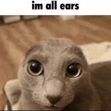 WispyOpossum tweet media