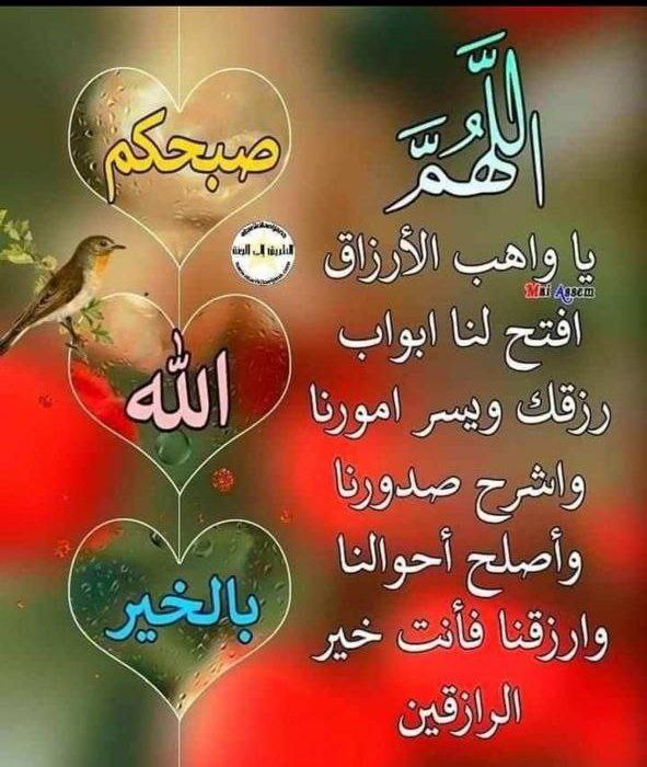 ehsanalali2020's tweet photo. #كريم_اهل_البيت

#صباح_الخير

قال الإمام الكاظم (ع): «ليَسَ منّا مَن لم يُحاسِب نَفسَهُ فِي كُلِّ يَومٍ.» https://t.co/uCEanG5FS3