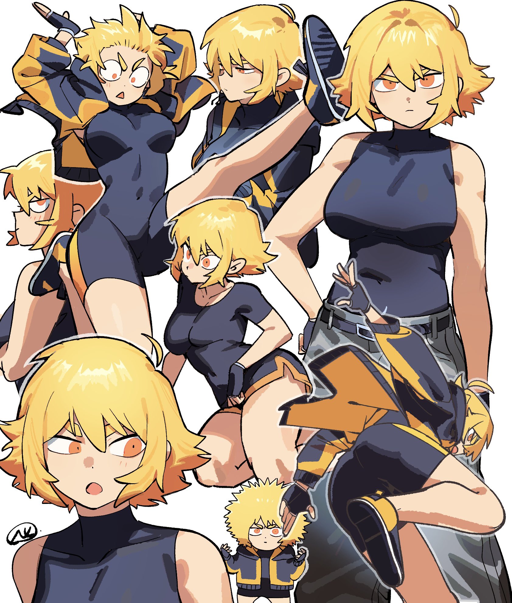 にゃーさん 71+wlAPth4L._AC_SY200_QL15_.jpg