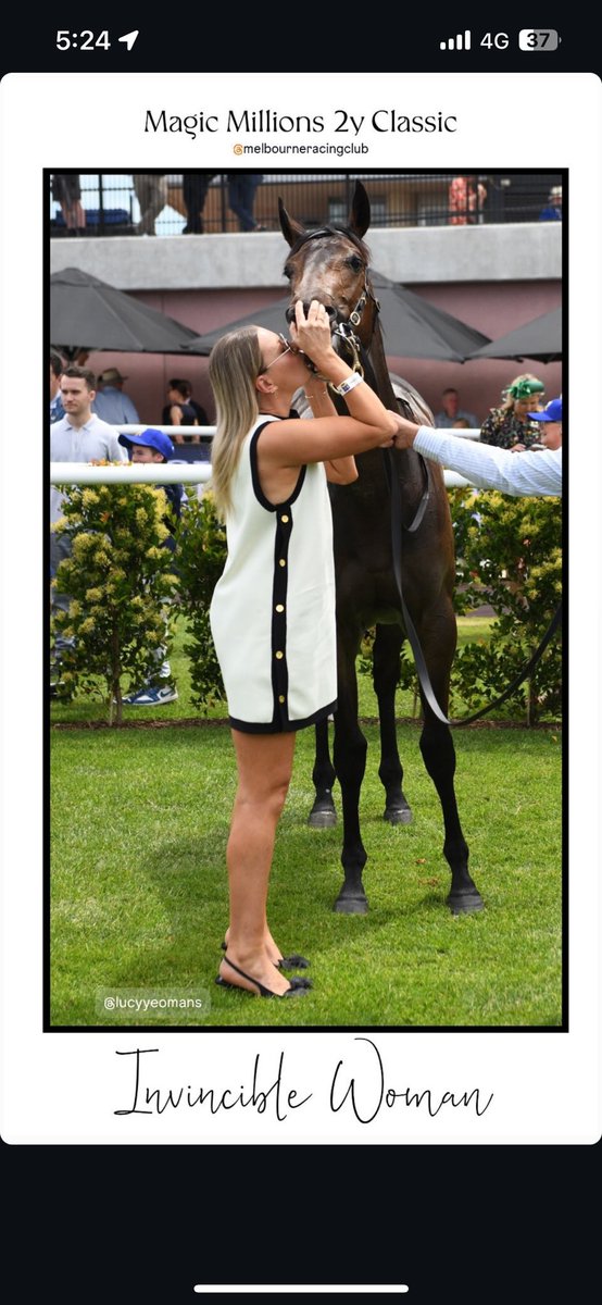 My second season as a trainer was fairly successful. I quietly set myself a goal of training 30 winners, and we did just that. 

🥇 - 34 winners
🥈 - 34 second placings
🥉 - 44 third placings

We ended the season with a 21% winning strike rate, and a placing strike rate of 48%.