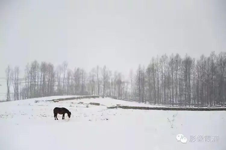 𝙻𝚞𝚌𝚌𝚊 tweet media