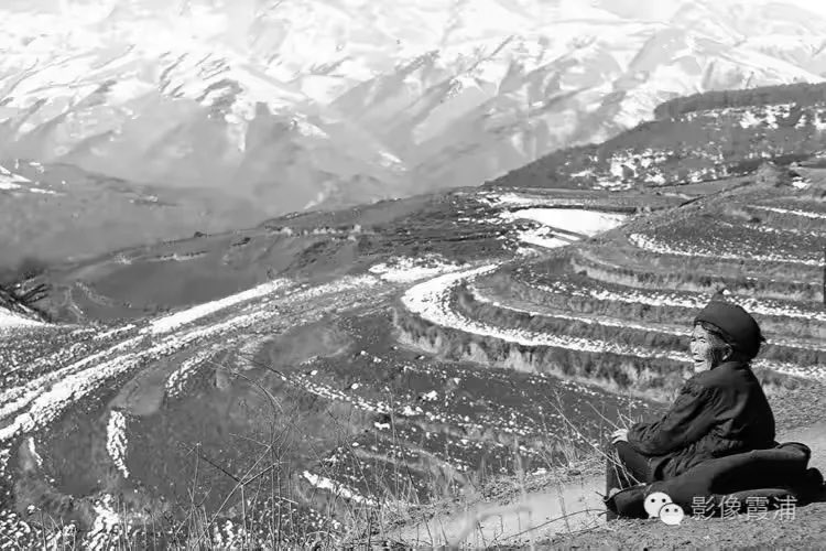 𝙻𝚞𝚌𝚌𝚊 tweet media