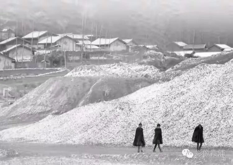 𝙻𝚞𝚌𝚌𝚊 tweet media