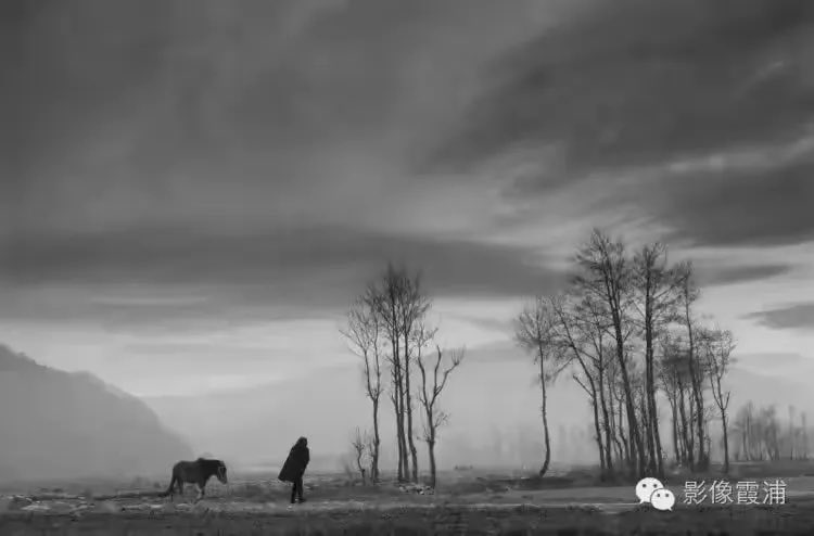 𝙻𝚞𝚌𝚌𝚊 tweet media