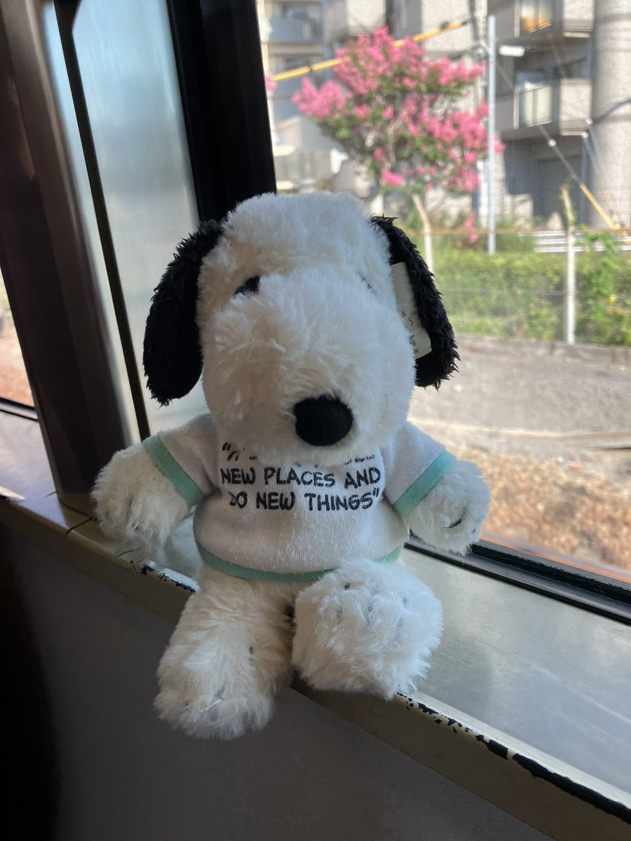 snoopy20211's tweet photo. こんにちは♪電車に乗ってお出かけ中。外は猛暑続きで嫌になるな。 https://t.co/cO8mfEQALl