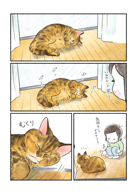 猫もみ職人の道は険しい👐
(1/3) 