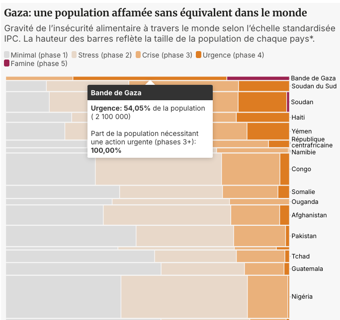 𝙳𝚞𝚌-𝚀𝚞𝚊𝚗𝚐 𝙽𝚐𝚞𝚢𝚎𝚗 tweet media