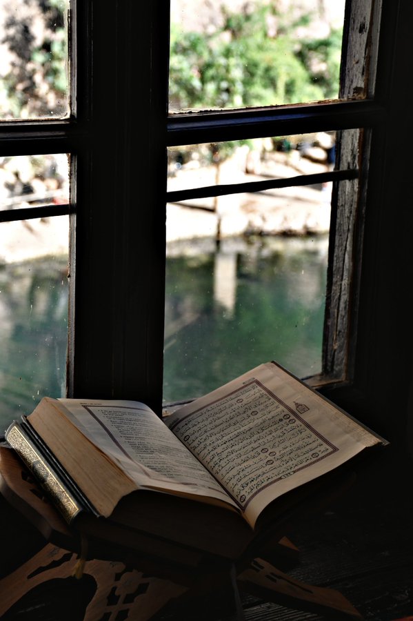 Dentist_Elif's tweet image. “QUERENCİA.” :
“İnsanın evi gibi gördüğü, kendini güvende hissettiği yer.”
#Hamd 🌿