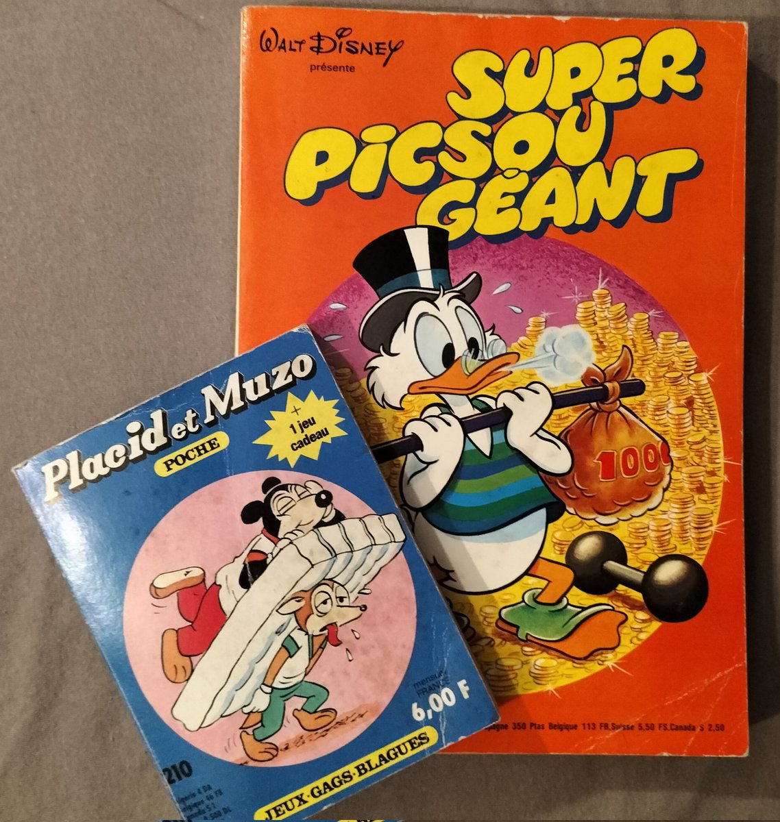 Ce qui est précieux dans les vacances d'été pour le bibliophile exigeant que je suis, c'est qu'elles offrent enfin le temps et la disponibilité d'esprit nécessaire pour se frotter aux grands textes philosophiques ardus que l'on n'a pas eu le courage d'affronter dans l'année.