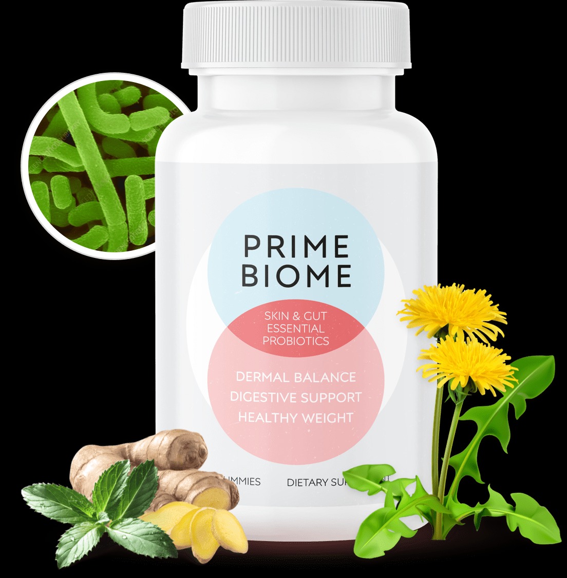 PurelyFitHub's tweet photo. Restore balance with PrimeBiome 🌿—advanced probiotic support for gut health, digestion, and immunity. Feel lighter, healthier, and energized every day! 💪

https://t.co/9WUwFfgRj3

 #PrimeBiome #GutHealth #DigestionSupport #Wellness #HealthyLiving https://t.co/hTyjmVsn8R