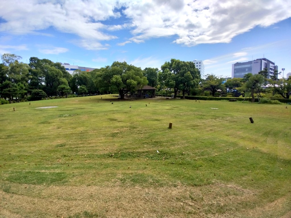 大森周辺の公園を散策
大森に砂浜があることを初めて知りました
台風の影響か風が少し強いです

#大森ふるさとの浜辺公園
#平和の森公園
#見晴らしばし公園
#平和島公園