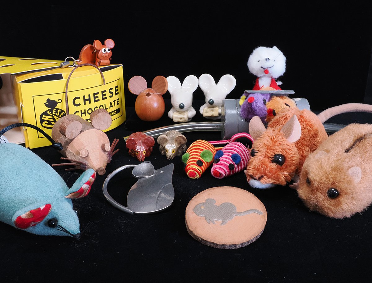 埼玉県立自然の博物館 on X