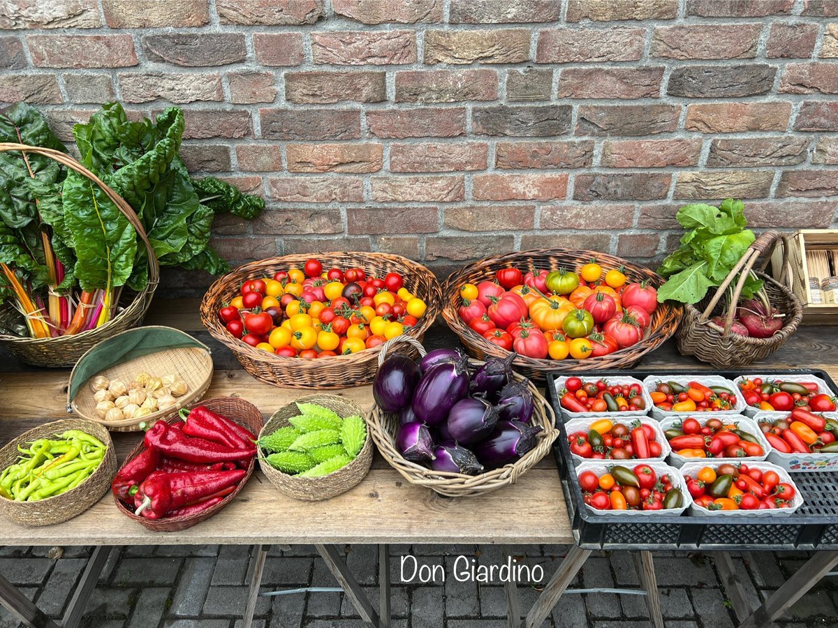 Meine heutige Ernte für den Samstagsmarkt an der 🌱 Don Giardino Permakultur in #41352 Korschenbroich. Es wird immer bunter und reichhaltiger 🥰 freu mich auf euch.