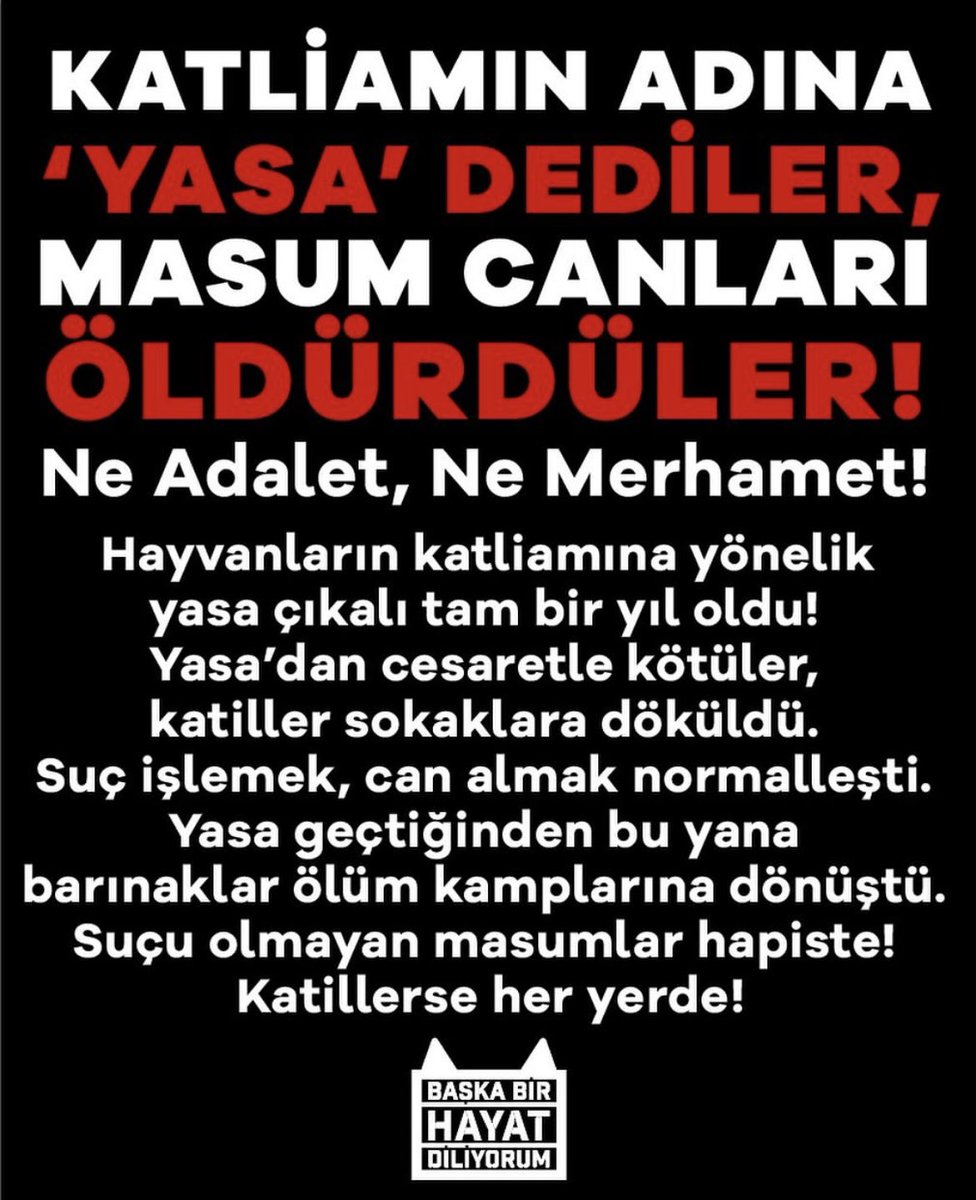Bu #katliamyasası yüzünden canlar katlediliyor. Her gün bir cana üzülüyoruz. #eros #cezve bu yasa yüzünden hayattan kopartıldı.#mucize bu sebeple hayat mücadelesi veriyor. #buülkedekatliamvar #yasayıgeriçek #SokakHayvanlarıSahipsizDeğil