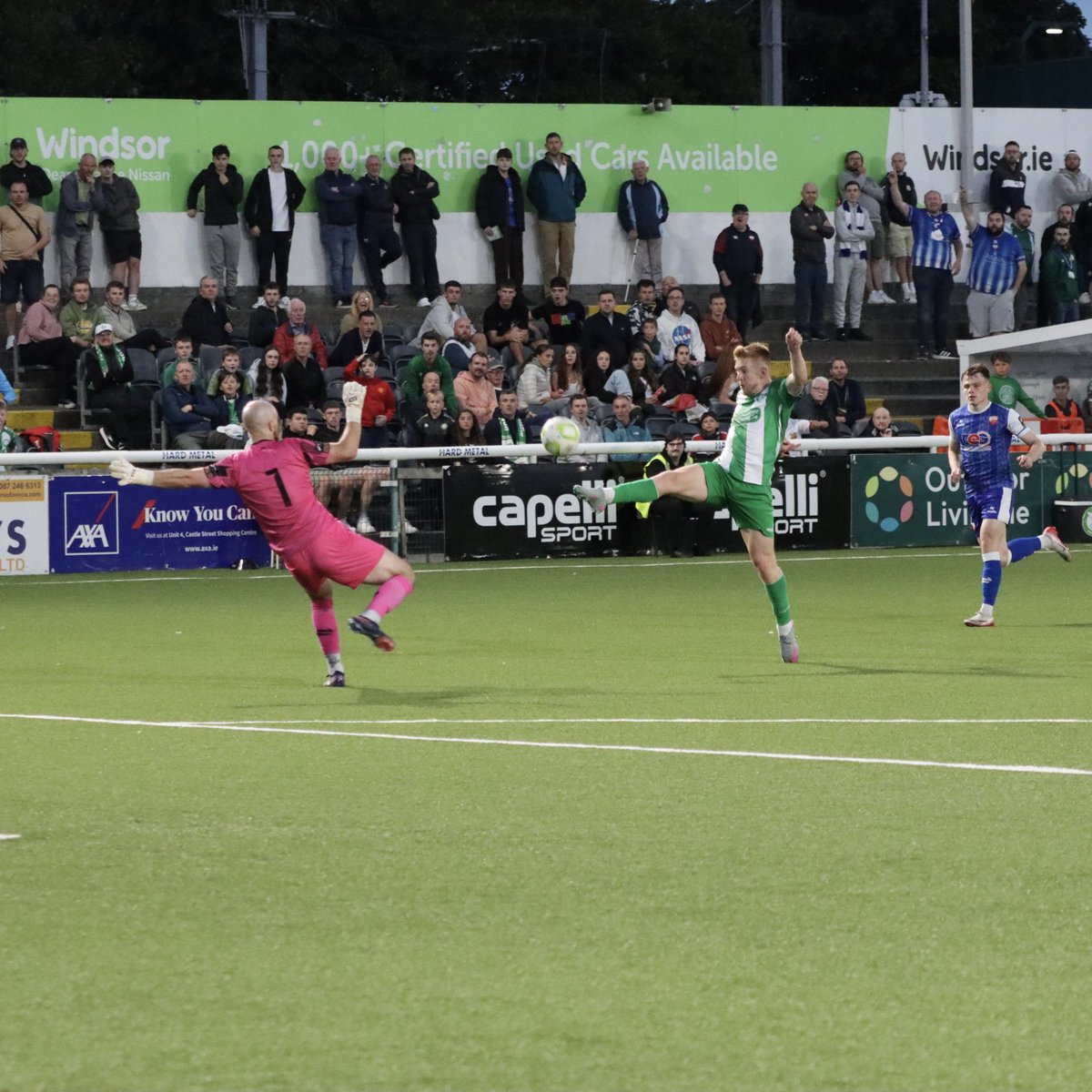 Seagulls in the Community tweet media