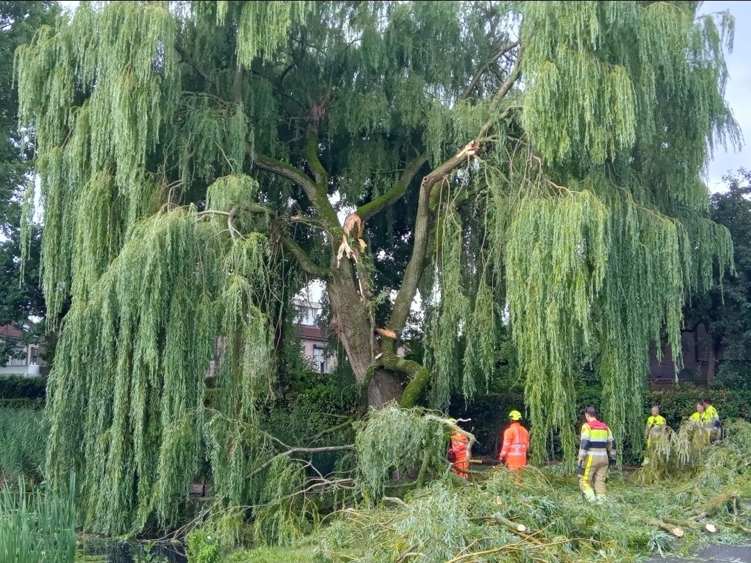Brandweer Asperen en Leerdam uitgerukt voor stormschade