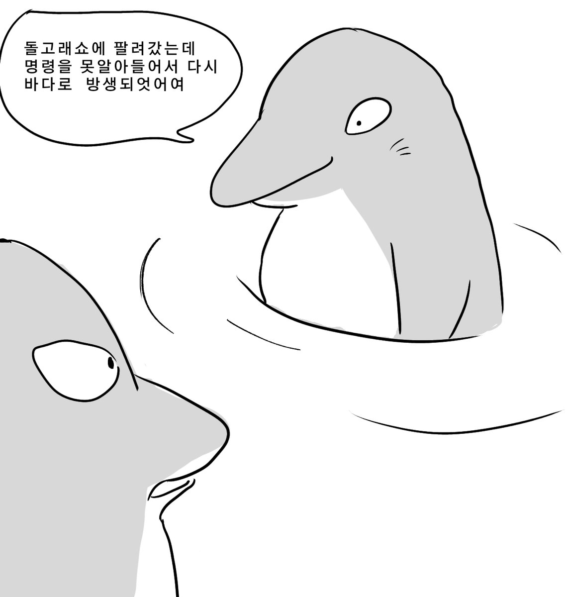 tr_kk22's tweet photo. 돌고래 리코마 https://t.co/LinjU7YbgX