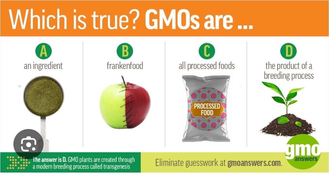 Beware of G.M.O. The manipulation against natural products.