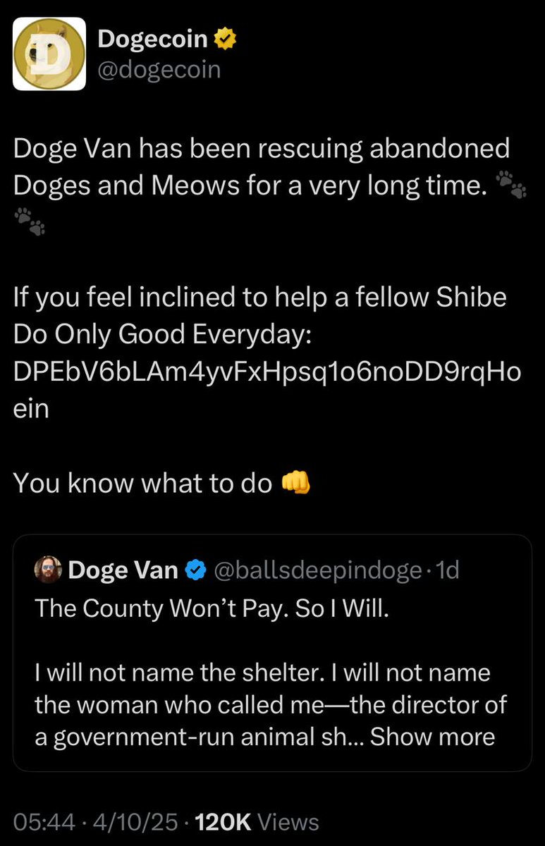 rzaais's tweet photo. No one's talking, but something massive is brewing behind the scenes…
#DOGEVAN isn’t just another meme.
Even some OG #Dogecoin devs are quietly watching.
With #DogeOS set to launch soon, DogeVan might be part of a much bigger plan.
The $DOGE mystery is slowly unfolding…
When this van moves, you won't find a seat. 🐶🚐🌕
@ballsdeepindoge
@Dogevanonsol