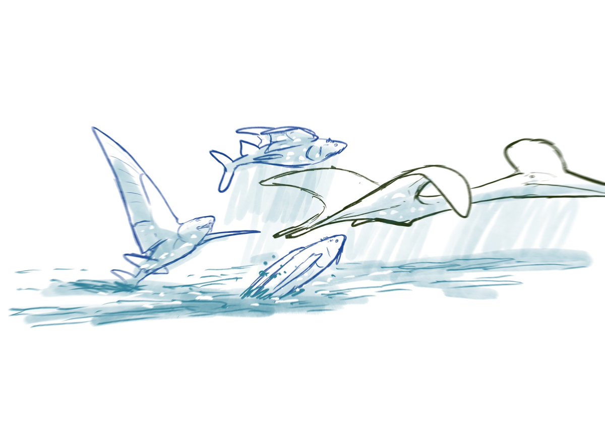 The Ultra Blue

Predatory Chondrichthyan fish that preys on surface dwelling and volant prey