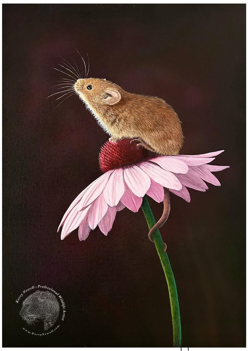 🎨 Excited to announce that this little acrylic painting has found a new home in Austria, having been purchased by an art collector there. I’ve just received the news that it has arrived safely and that the buyer is over the moon ☺️ xXx
KerryNewell.com