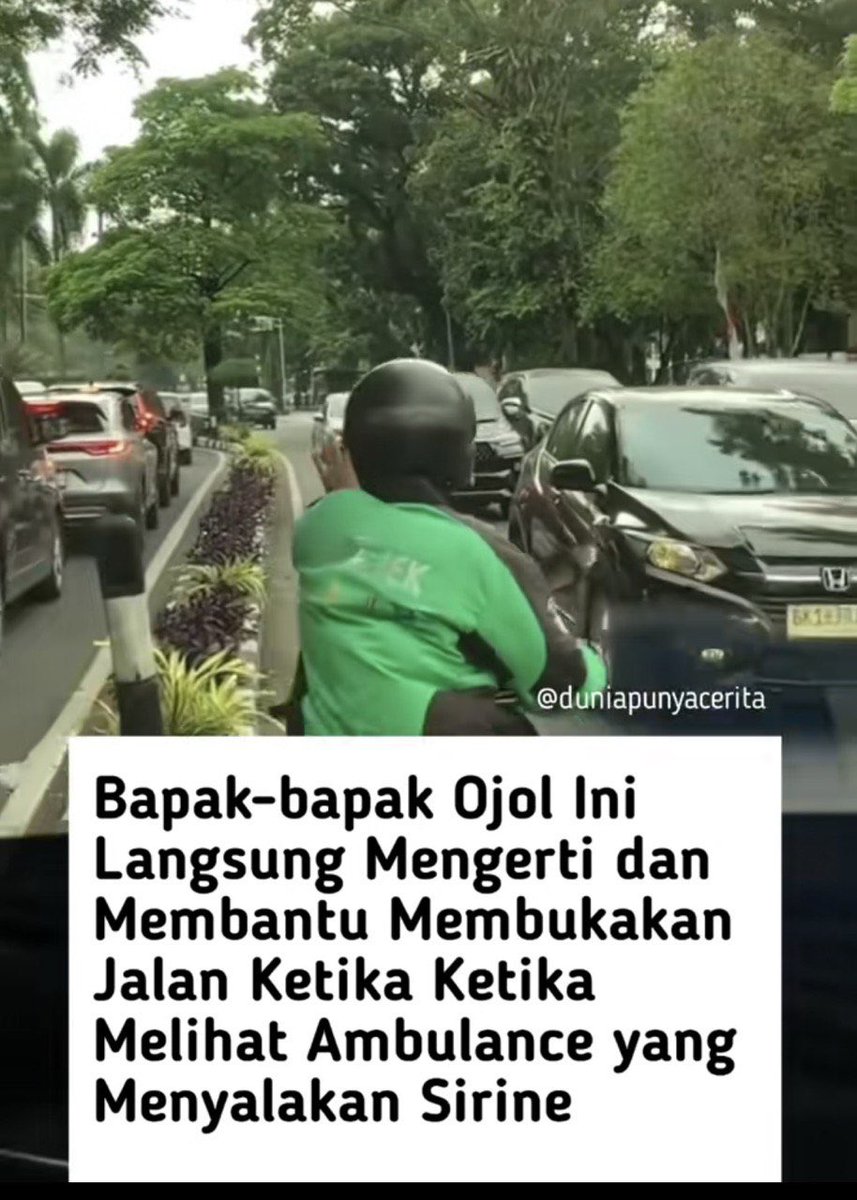 Dino tweet media