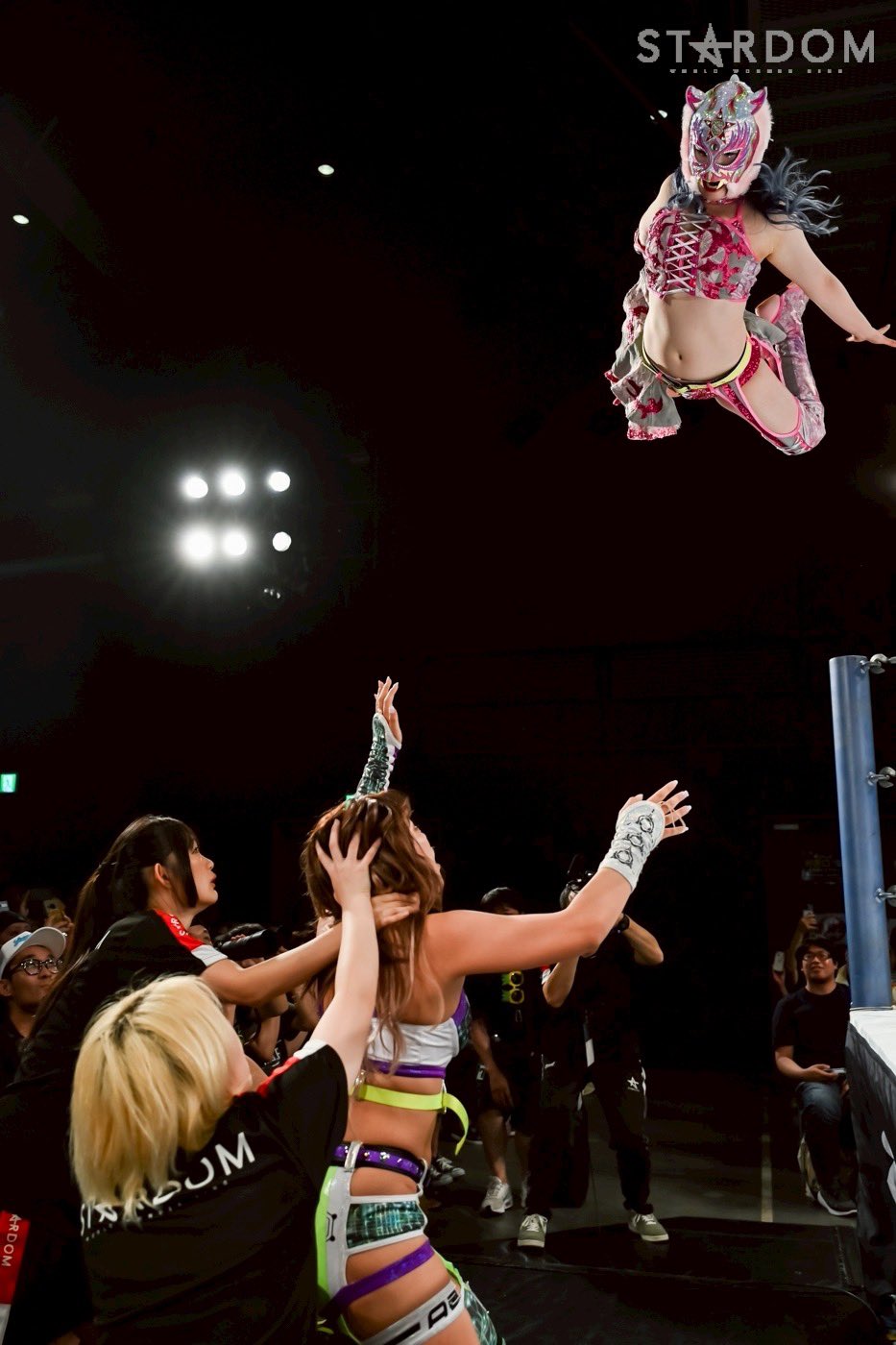 スターダム ビキニング9 スターダム💙スターライト・キッド🐯🤍 on X: 