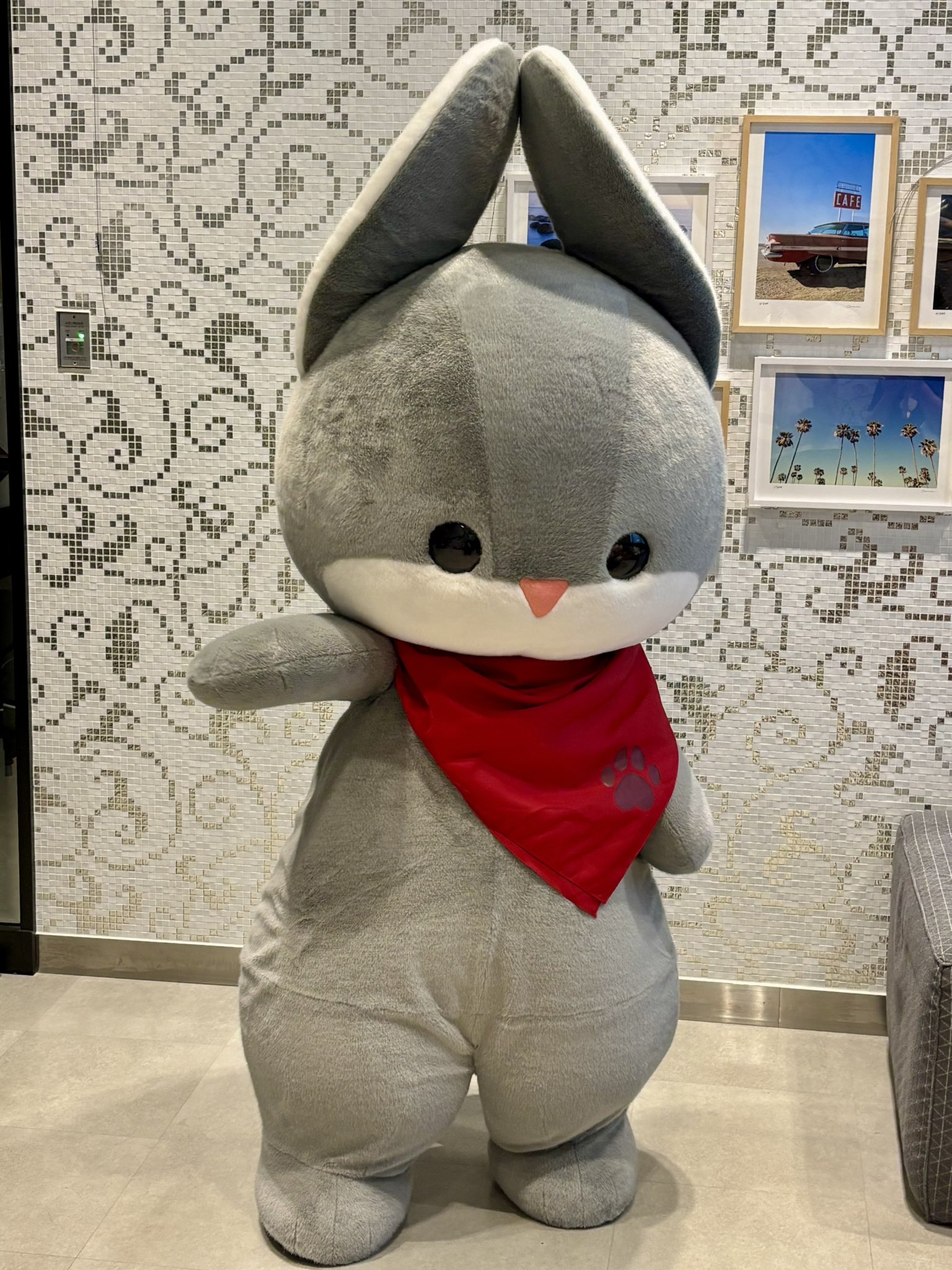 ラシュトン✳︎Rushtonうさぎさん うさぎさん🥳 on X: 