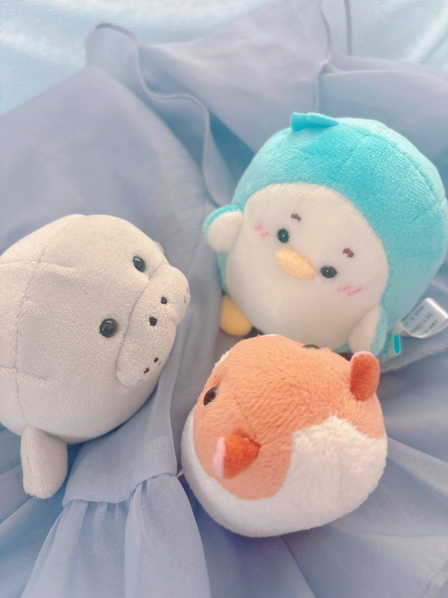 さくせんかいぎ！！