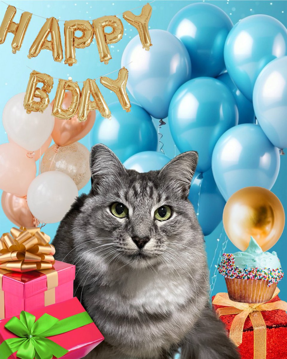 IT’S MY BIRTHDAY!! HAPPY BIRTHDAY TO MEEEEE!!
😺😻🎉🎈🎁🎂