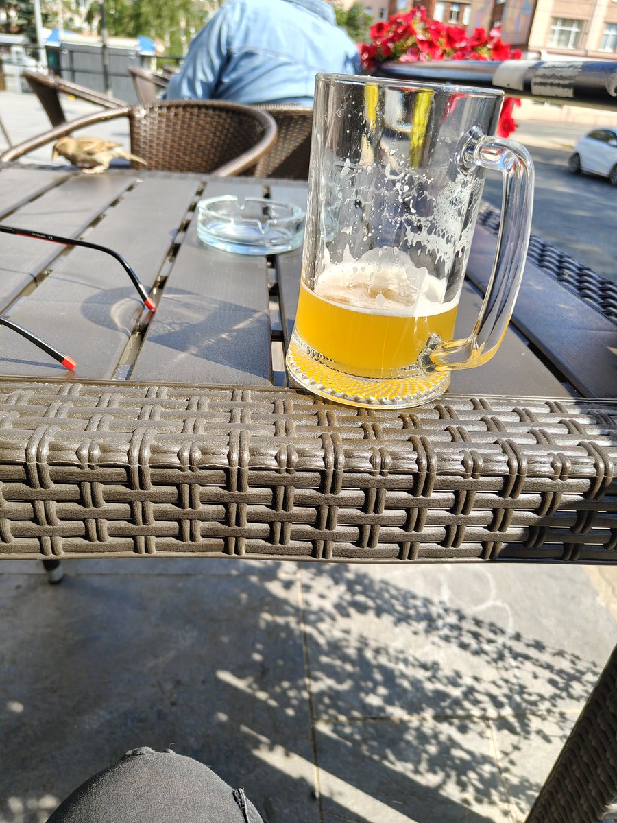 Жара, сука! Сидим с Воробьёвым пиво пьём с утра.