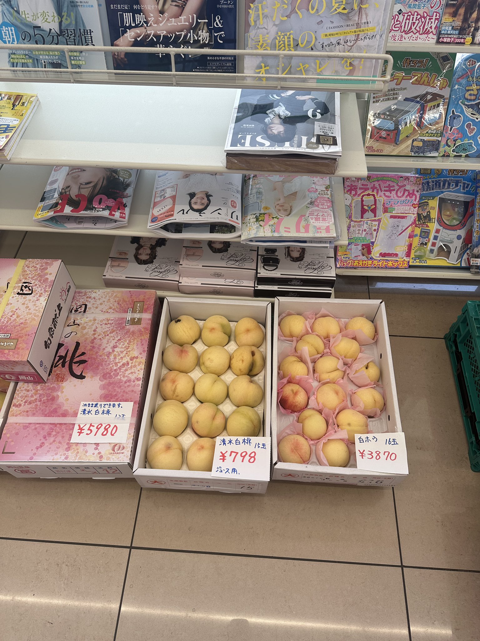 pandacurryです☻ ぺぱぐり (@p_mint) / X