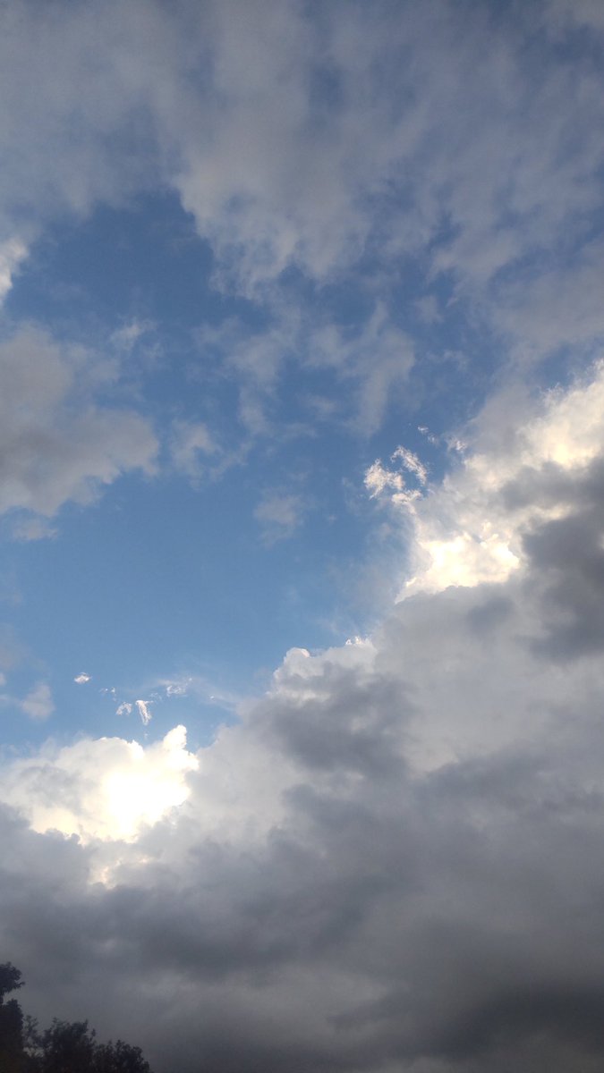 風よ！

蒸し暑いだけだぁ…

#イマソラ
#奥州市