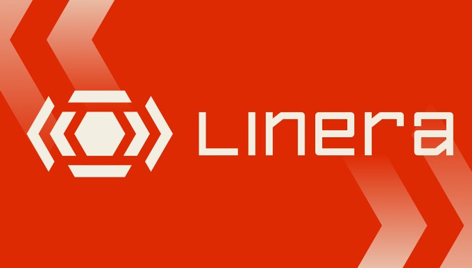 Kamal Bhatt.lens (🌸, 🌿) ⌘🛠️ tweet media