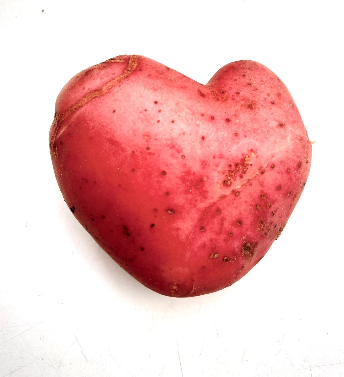 La naturaleza siempre nos da amor cuando se cultiva con el. Es lo que pasa en #fincaelborron #patatacorazon #ecologico