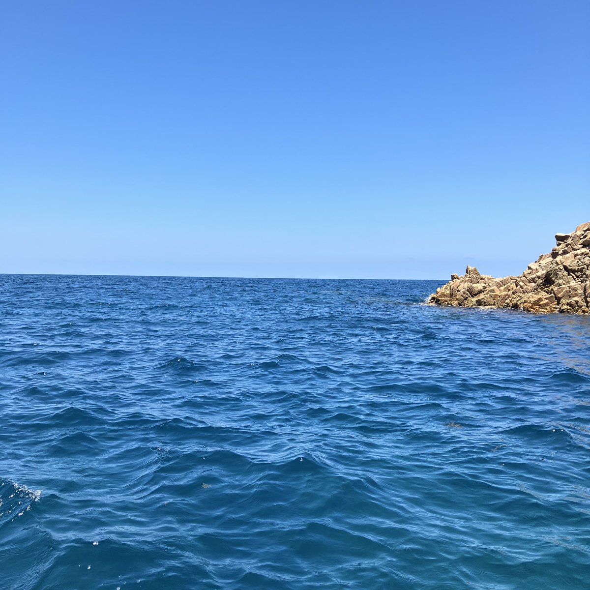 鳥取で船乗ってきた🚤