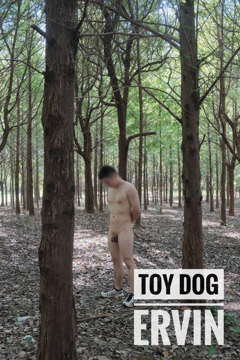 狗狗&amp;小树林