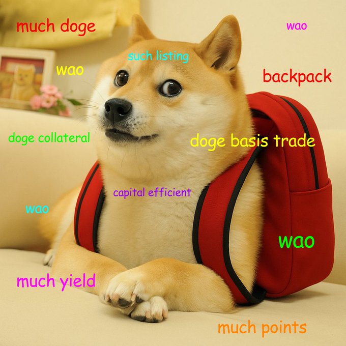 带有Backpack交易所特色的狗狗币表情包