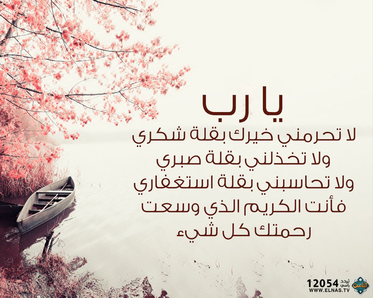 Faisal Alshammary tweet media