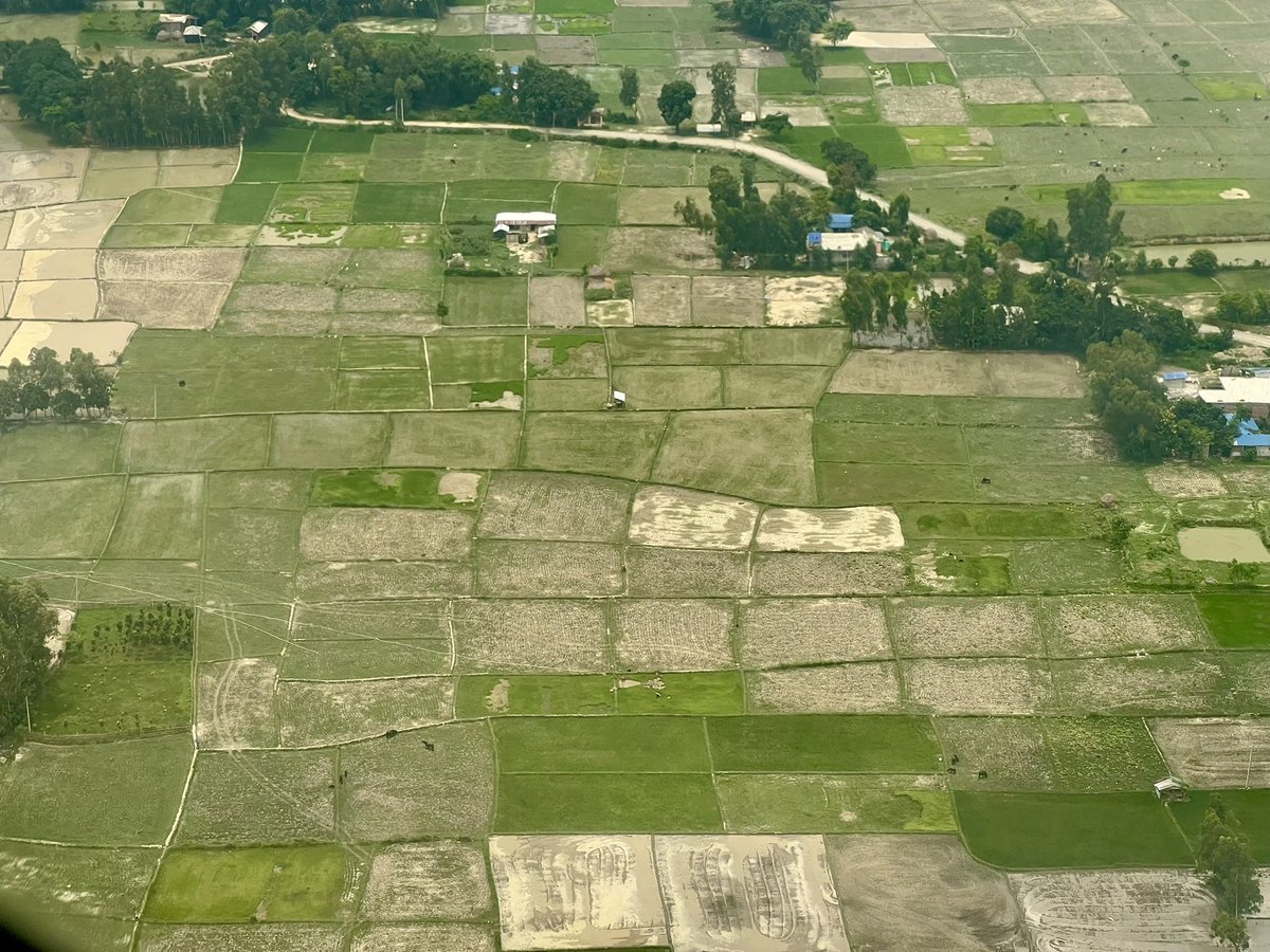 पानि नपरेर बिऊ सुक्यो #मधेस