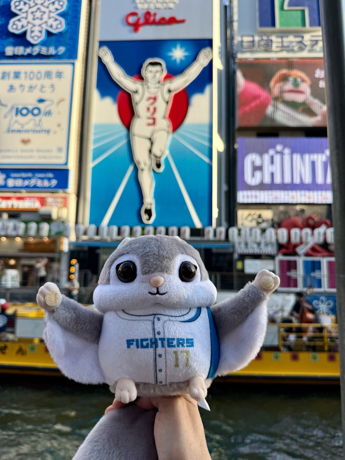 ✳︎ポアロ　おまとめ8点 Moro🐻💿🦀 on X: 