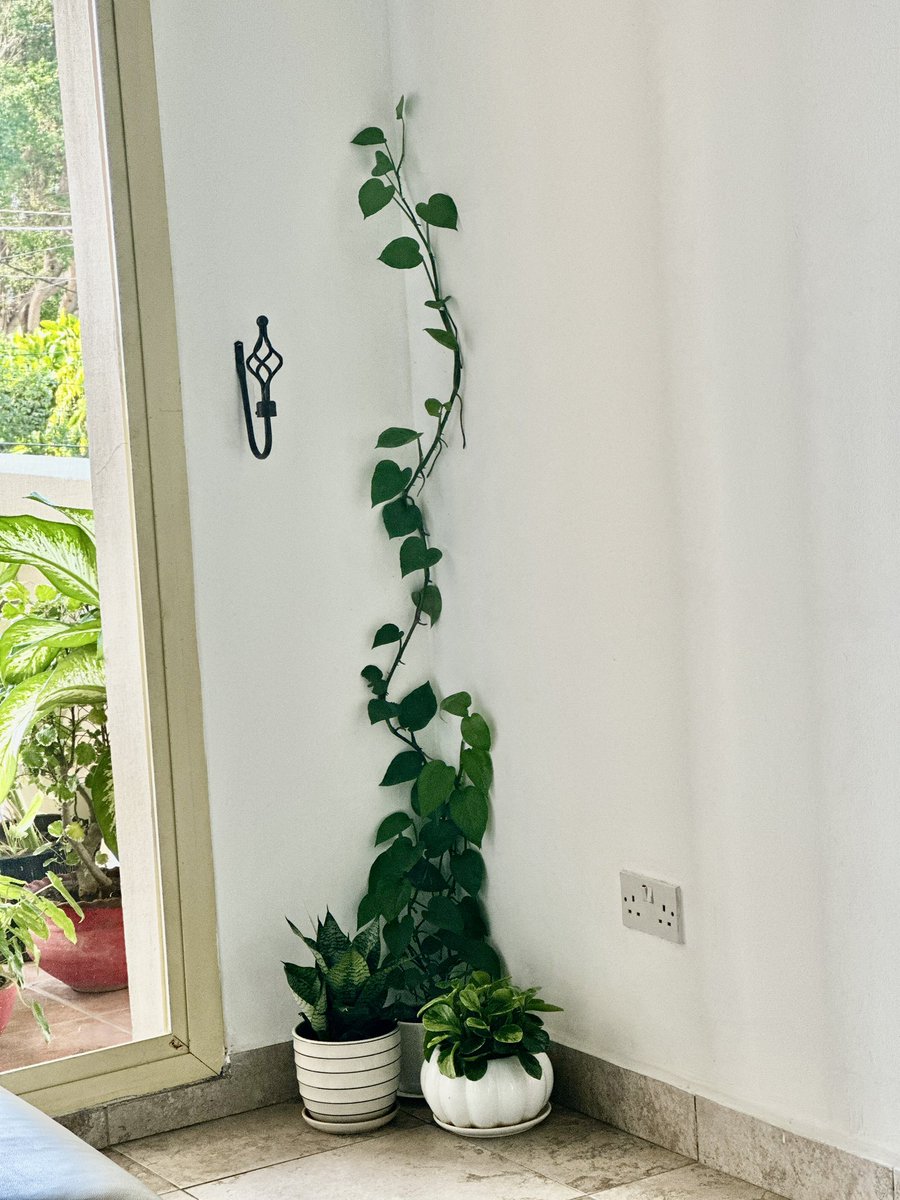 जुलाई को जुलाई रहने दो
जीवन की अनिश्चितता में भी 
ठीक वैसे ही रहो जैसे तुम हो 
सभी समस्याओं का हल तुम्हारे पास नहीं हो सकता,
तुम्हें सबकुछ ठीक करने की जरूरत नहीं !
जीवन के तमाम उथल पुथल के बीच भी 
तुम्हें सुकून मिल सकता है 
अगर अगस्त को अगस्त दो ! 

Priyanka