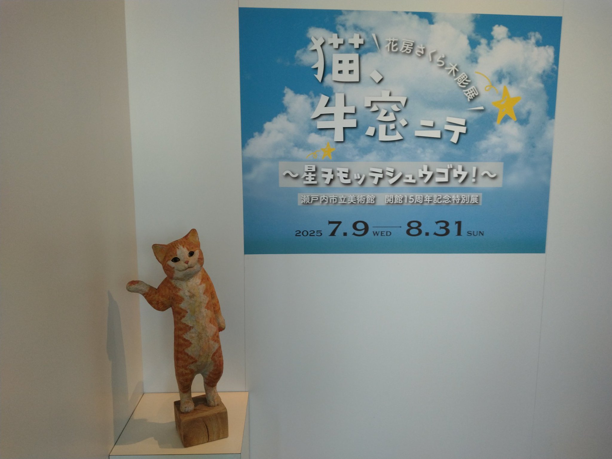 猫吉 on X: 