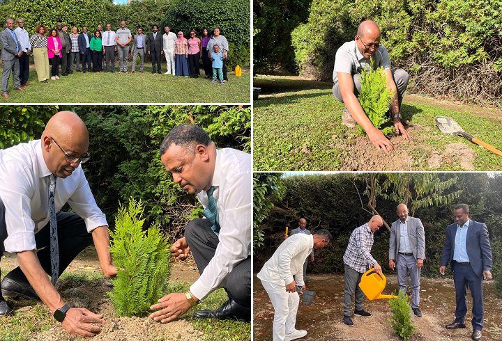 โetwork of โบthiopians in โผeneva โถction โaskforce (@negatgeneva) on Twitter photo Honorable Speaker of the House of Peopleโs Representatives of the Federal Democratic Republic of Ethiopia, <a href="/TagessechaffoD/">Tagesse Chaffo Dullo</a>, participated in a tree planting at the residence of the Permanent Representative of #Ethiopia in #Geneva <a href="/ETMissionGVA/">Ethiopian Permanent Mission Geneva</a> <a href="/tsegabk/">Tsegab Kebebew</a>
ethiopians.ch/net/2025/07/31โฆ Honorable Speaker of the House of Peopleโs Representatives of the Federal Democratic Republic of Ethiopia, <a href="/TagessechaffoD/">Tagesse Chaffo Dullo</a>, participated in a tree planting at the residence of the Permanent Representative of #Ethiopia in #Geneva <a href="/ETMissionGVA/">Ethiopian Permanent Mission Geneva</a> <a href="/tsegabk/">Tsegab Kebebew</a>
ethiopians.ch/net/2025/07/31โฆ