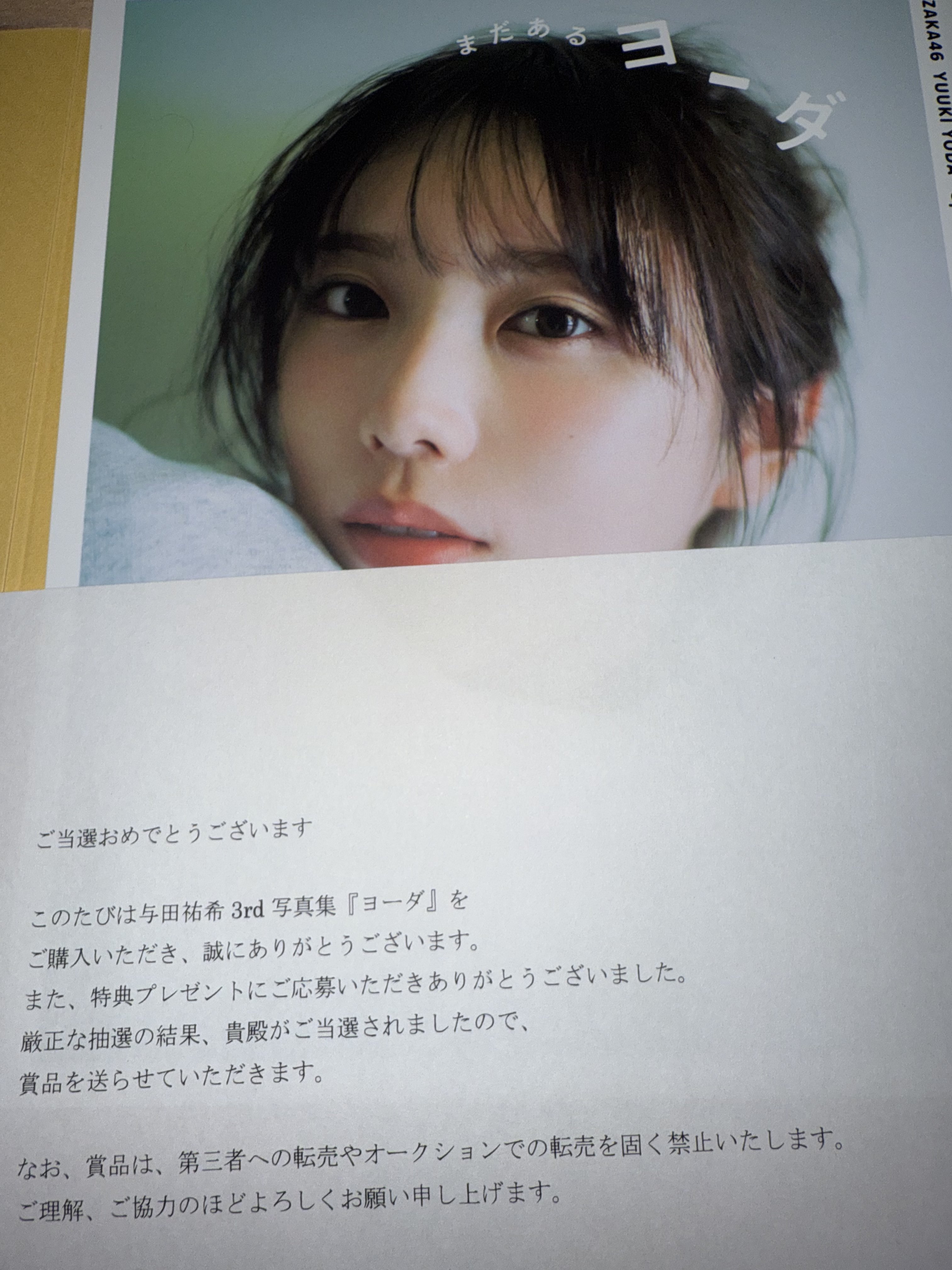 与田祐希写真集　ヨーダ　アナザーカットミニBOOK 与田祐希が自らセレクト！ 3rd写真集特典ミニブック『まだあるヨーダ