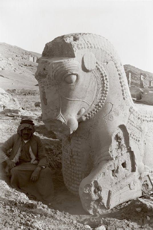 MENA Visuals (@menavisualss) on Twitter photo 