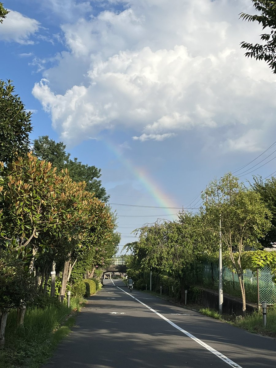 nekobaaba's tweet photo. あまりに暑いのでいつもより遅い時間に買い物に出たら短い虹が🌈 https://t.co/v7PXG3QGoC