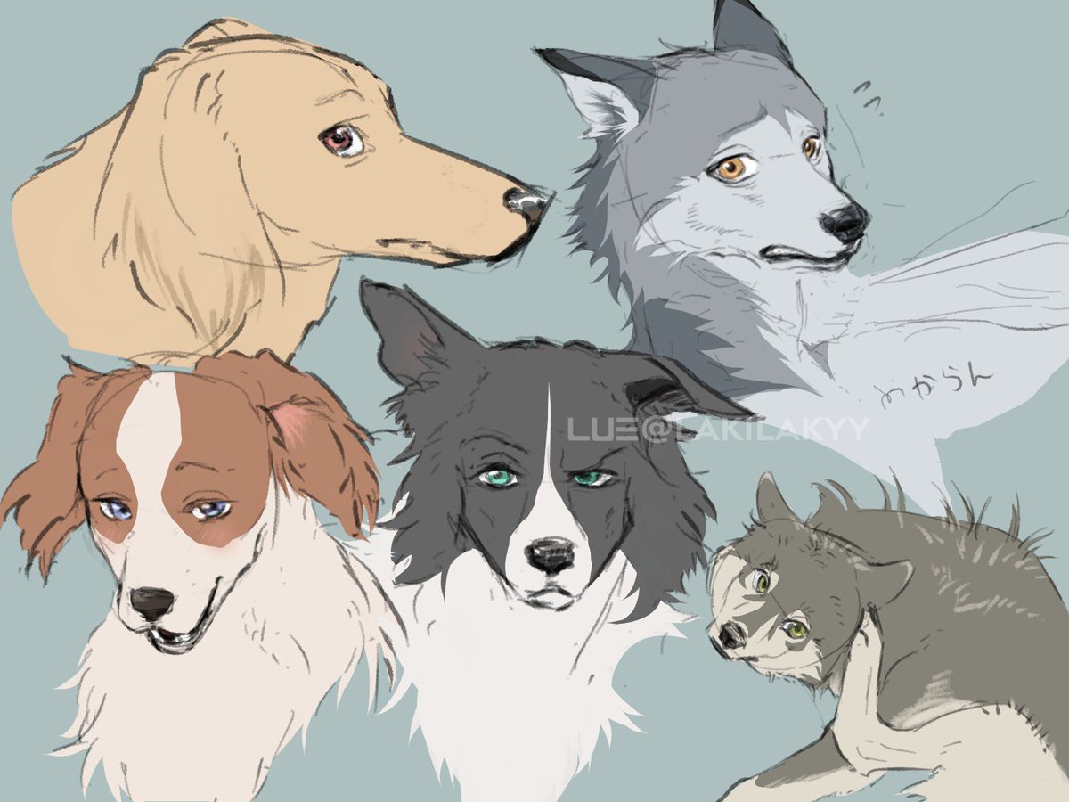 lakilakyy's tweet photo. Canine #sketchart https://t.co/STVdYpRGDq