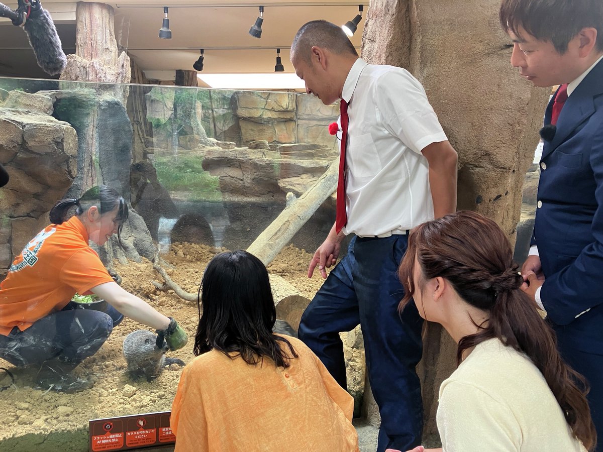 tuf_hensei's tweet photo. 観光・食・遊び（体験）！
那須ならではの“〇〇推し”を紹介

ゲストとともにその魅力を深掘り✨
那須へ行きたくなるような情報をお届けします

📺U字工事が行く！那須の推し活
3日(日)ごご4時 https://t.co/IxP9rvcKxf